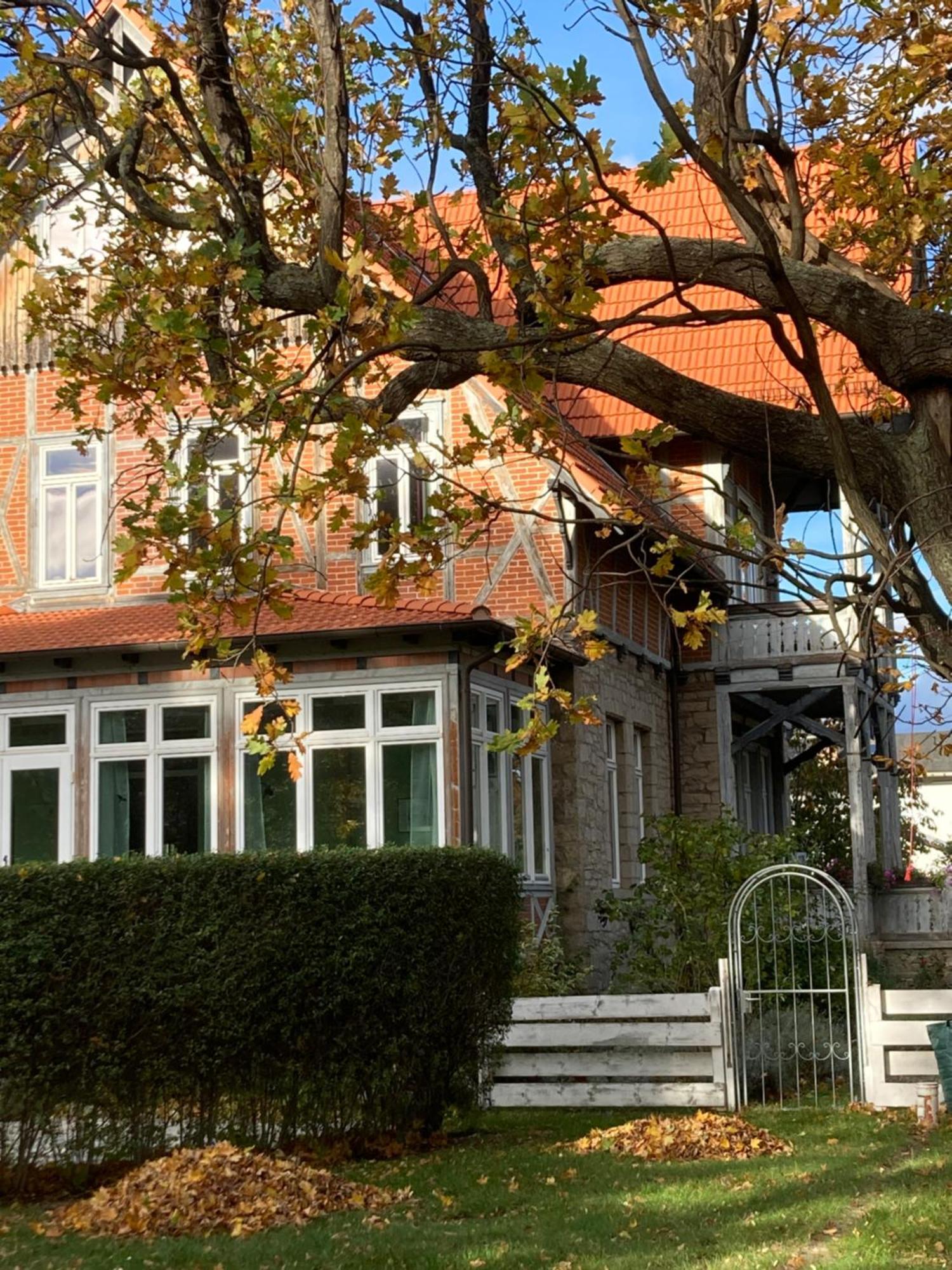 Gaestehaus Musestieg Thale Esterno foto
