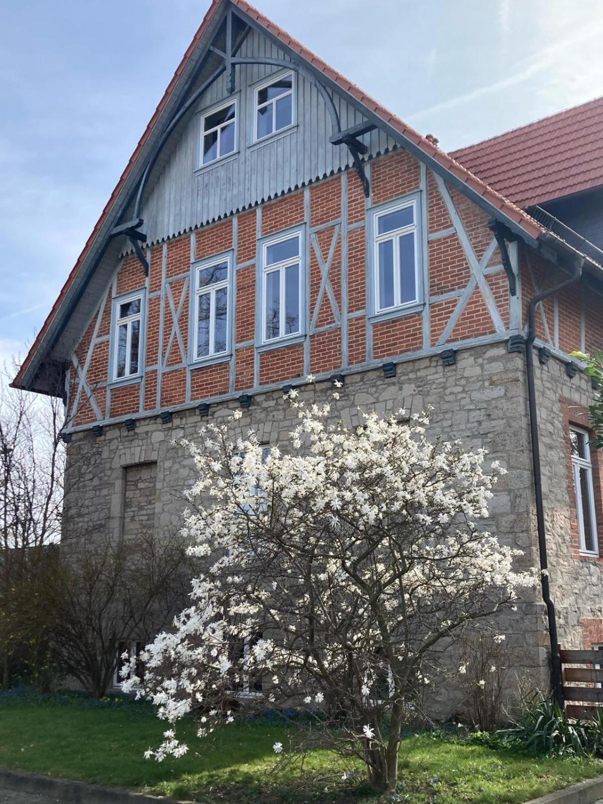 Gaestehaus Musestieg Thale Esterno foto